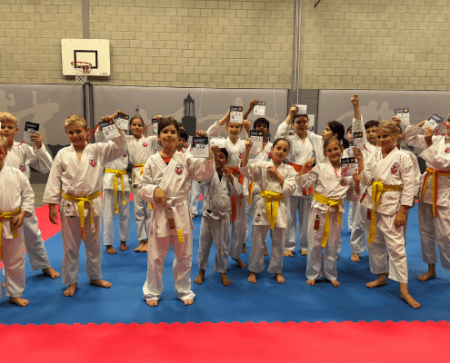 Ingezonden foto karate Team Utrecht