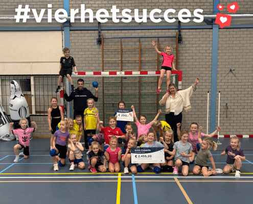 VHS Handbal Borne FB